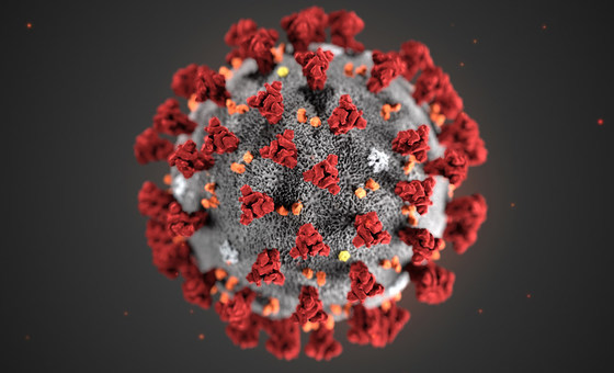 Coronavirus global outbreak