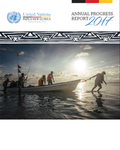 annual-report-2017